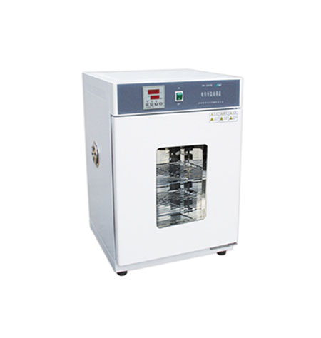 電熱恒溫培養(yǎng)箱