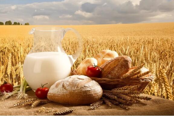 糧油企業(yè)哪些檢測(cè)項(xiàng)目需要液相色譜儀？